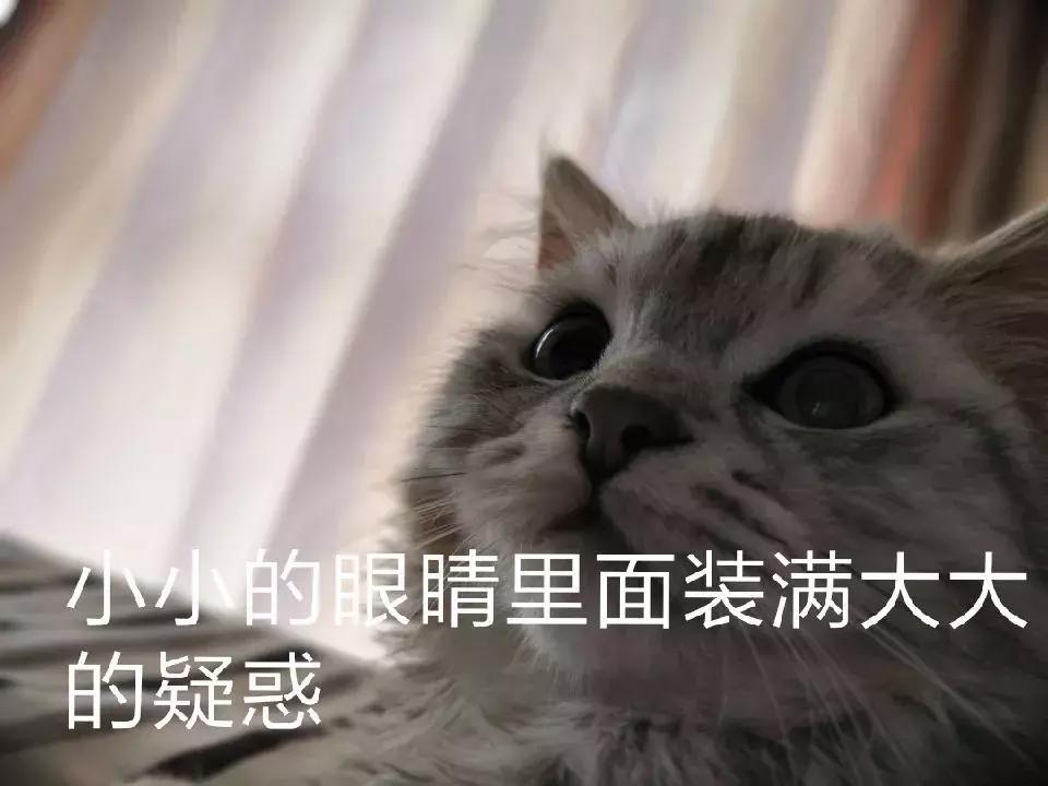 好听又霸气的汽车名,好听汽车名字推荐高级大气