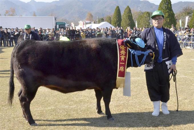 日本味道食物,日本和牛真正的味道