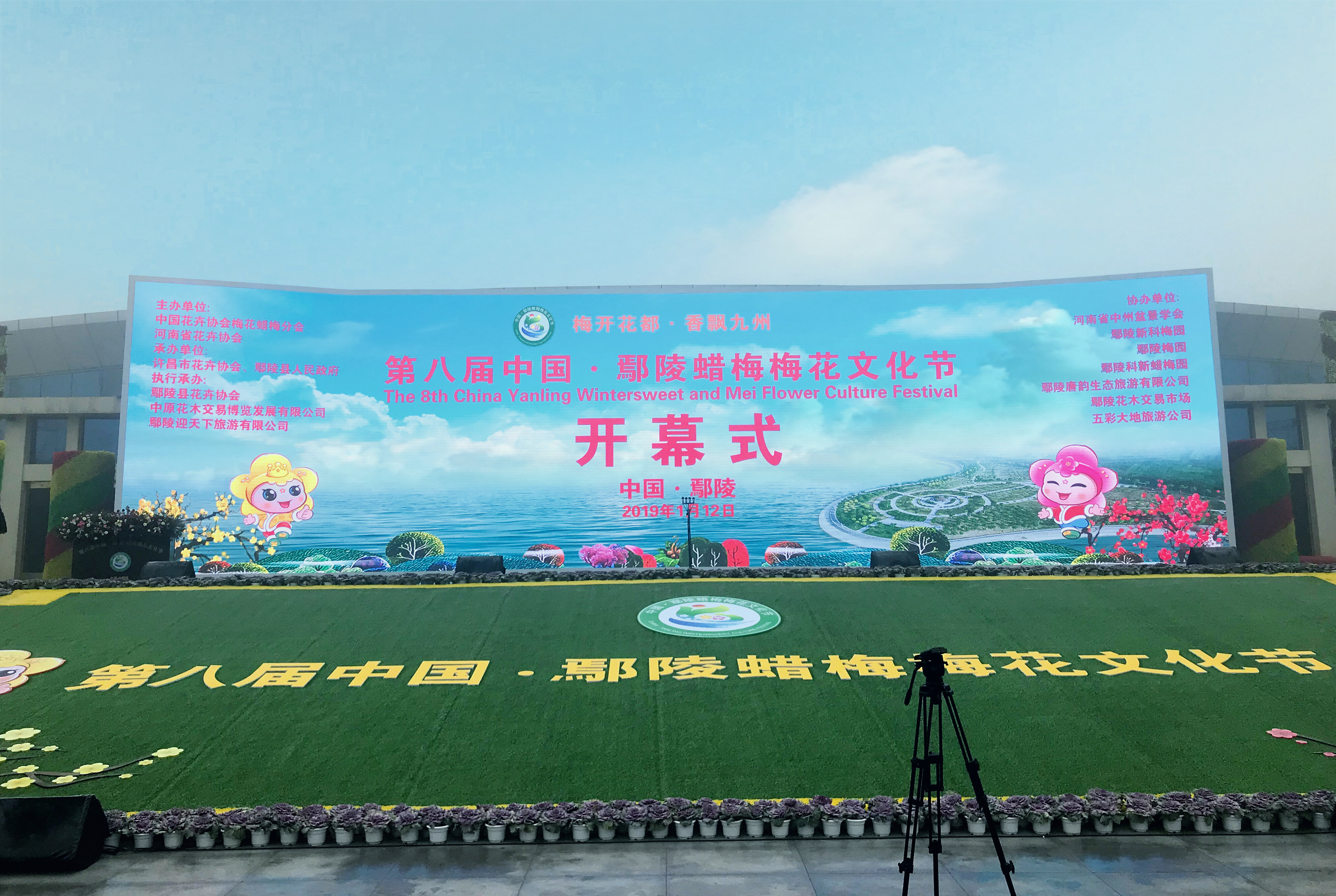 鄢陵腊梅历史,鄢陵的蜡梅