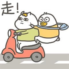 期待！肇庆市博物馆新馆即将开馆试运营！这些参观须知提前了解→