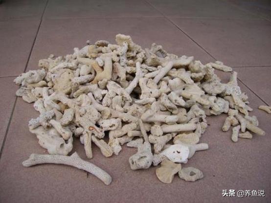 鱼缸养鱼四大神器,养鱼鱼缸水质净化神器