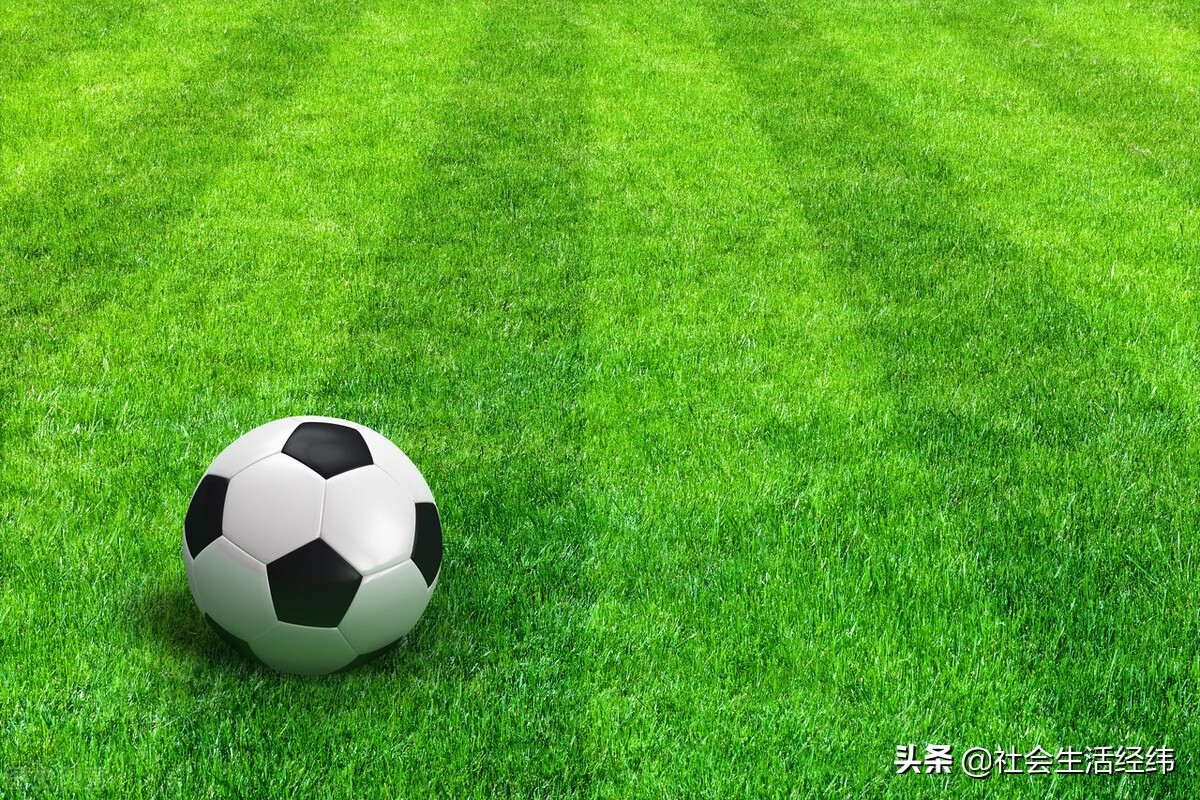 郑智在中国足球的地位,迟尚斌在中国足球地位