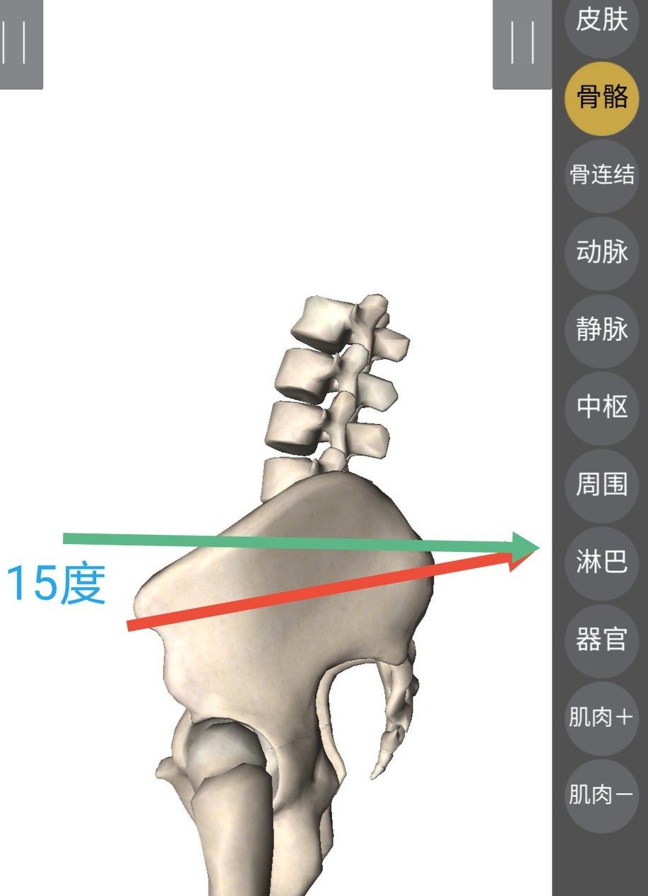 如何改善驼背和骨盆前倾,怎样改善骨盆前倾的腰疼