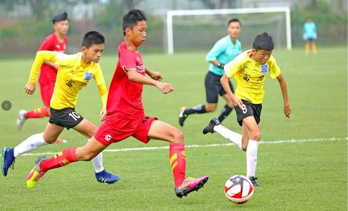 中国女排对男足的影响,中国女排和男足的对比