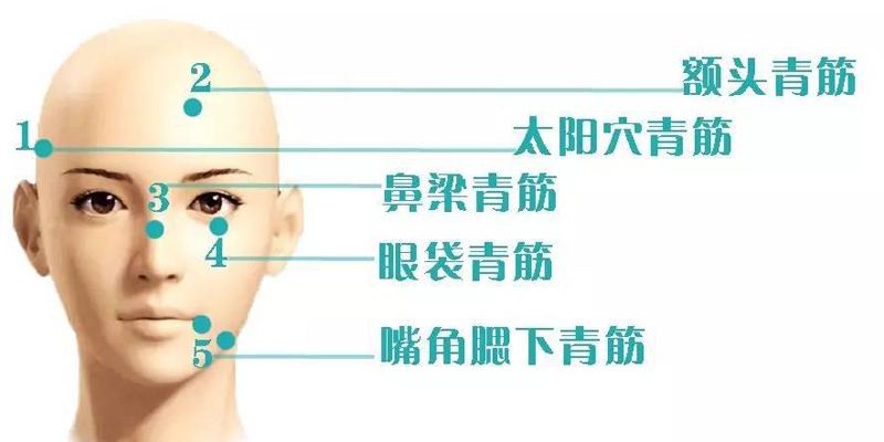头部血管突出青筋暴起是什么原因,头部青筋