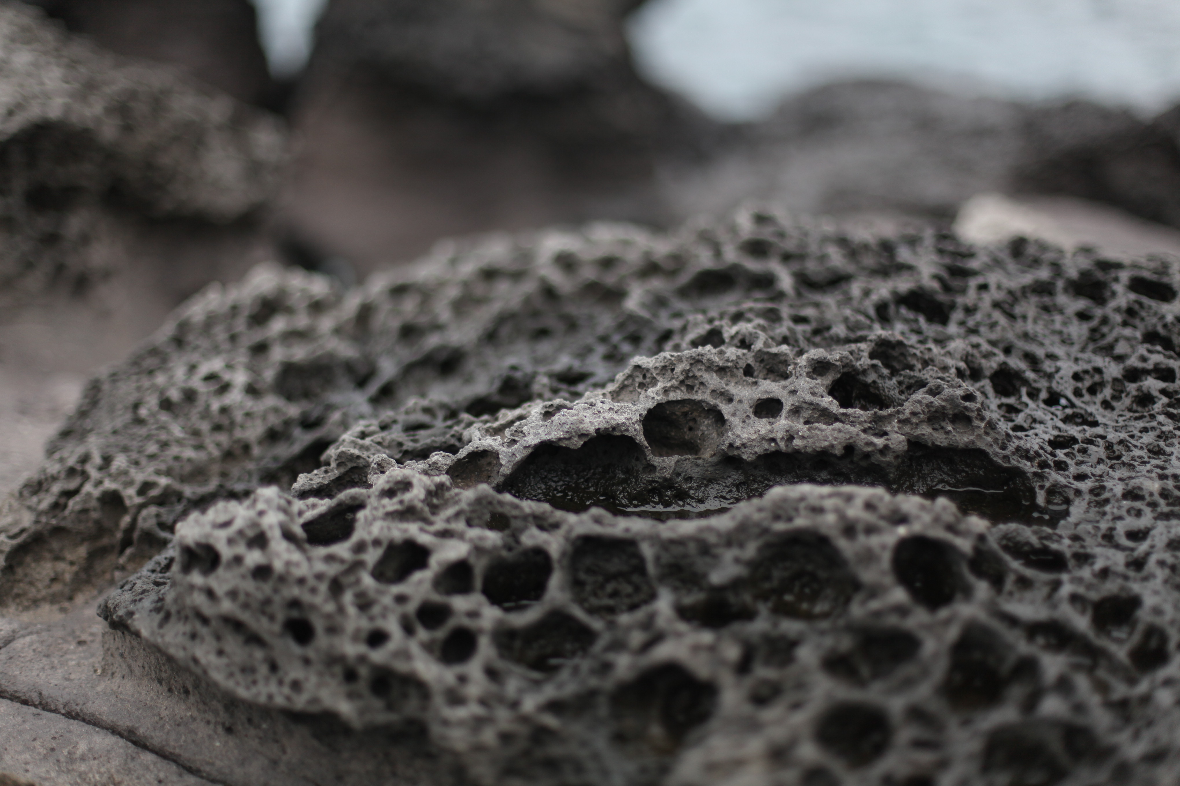 韩国济州岛泰迪熊博物馆最大的熊,济州岛泰迪熊王国