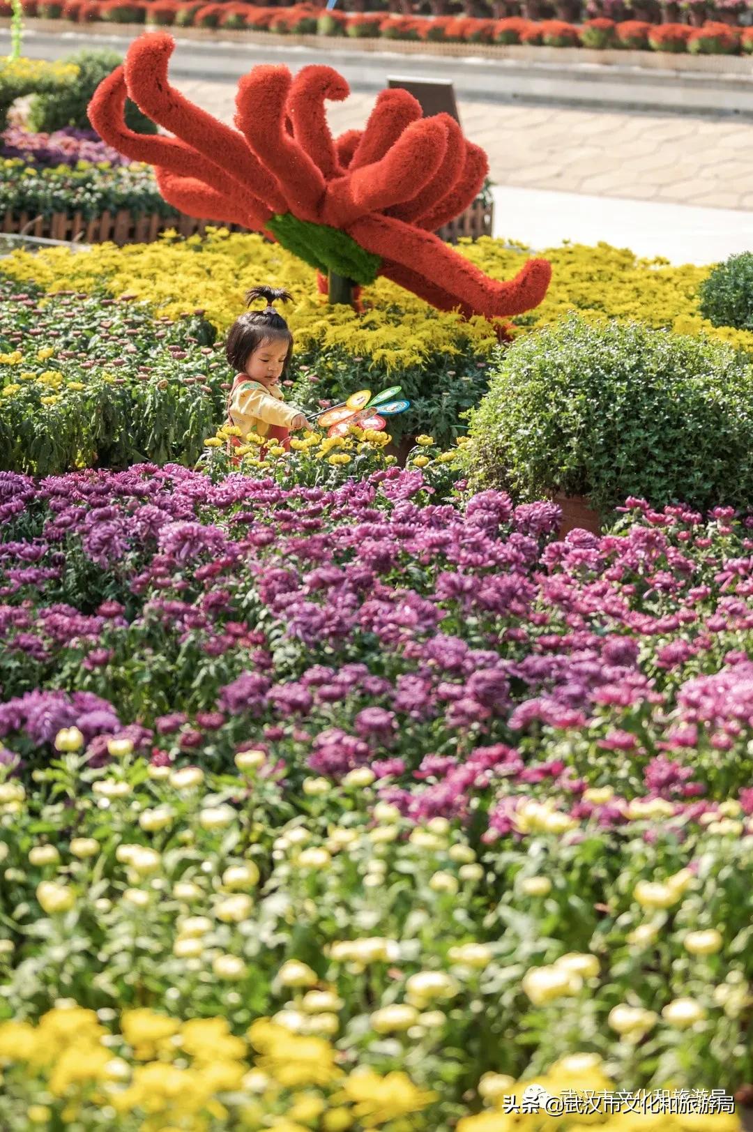 武汉秋天的第一场音乐节,武汉秋天第一场音乐节