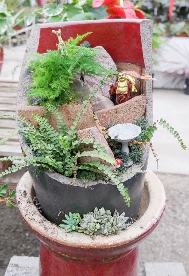 新买的花盆如何改造盆栽,破碎的花盆怎么养花