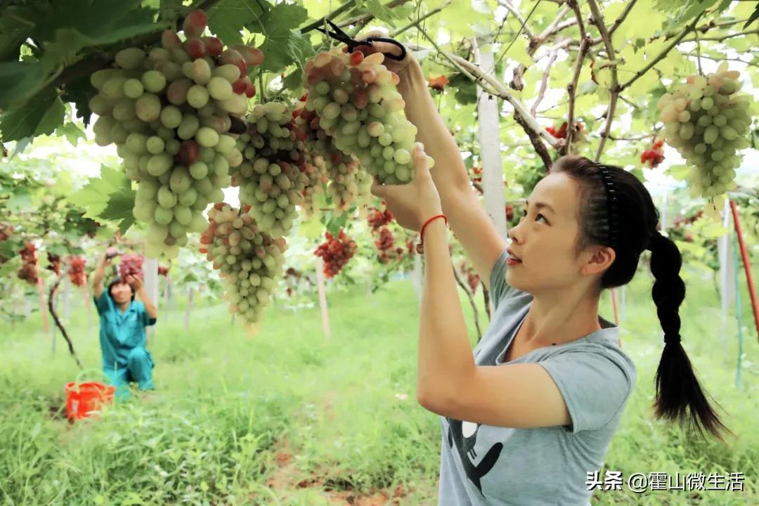 安徽霍山旅游景区第一视角,安徽霍山旅游推荐