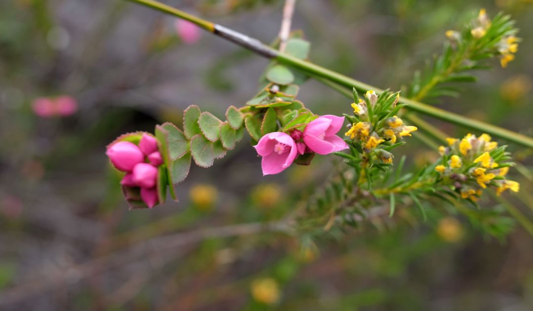 鏈堜寒鏄熷骇鎬庢牱搴斿璐熼潰鎯呯华,鏈堜寒鏄熷骇鎯呯华鐤楁剤