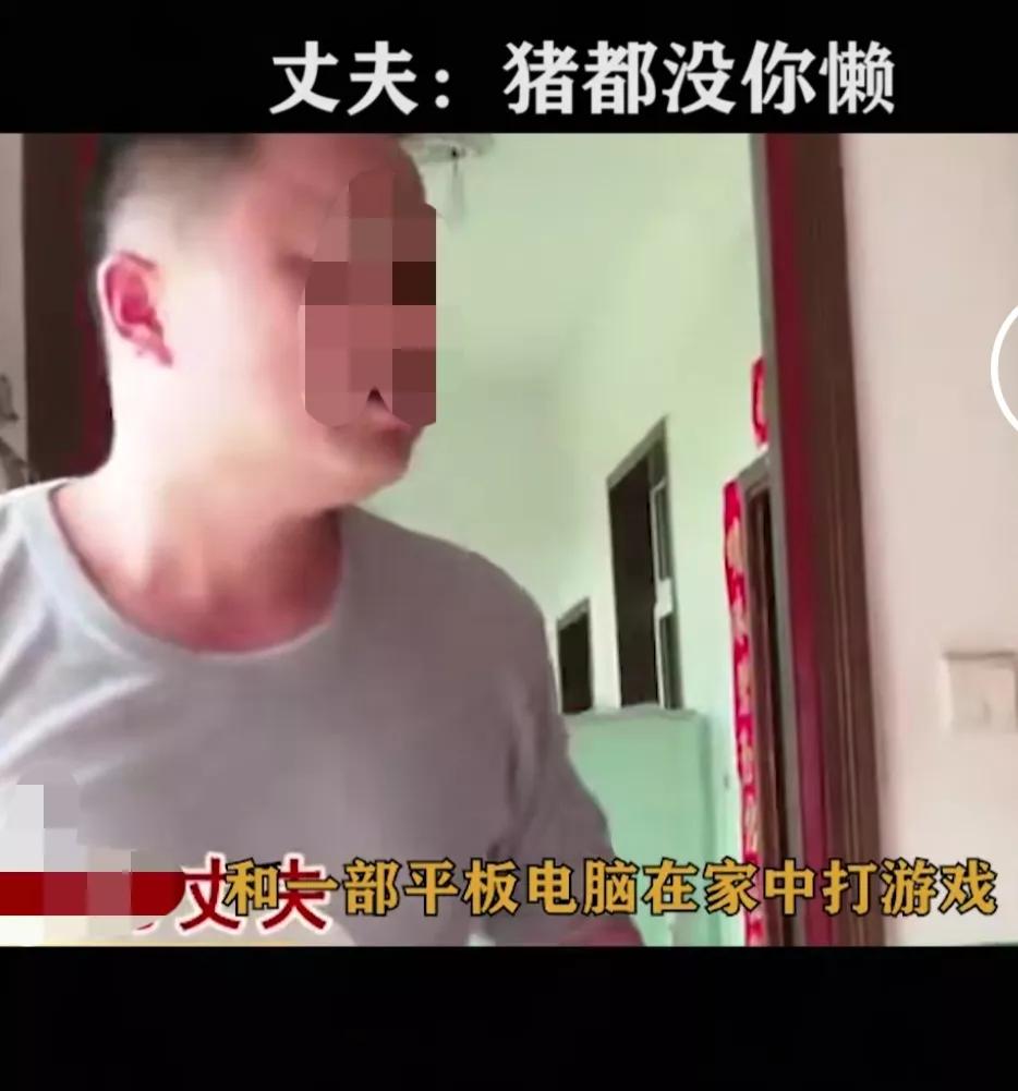 妻子懒惰丈夫崩溃,妻子懒惰睡懒觉