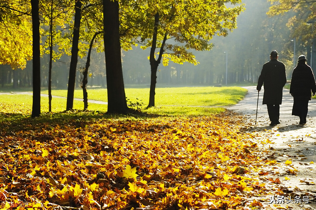 岁月如歌每当变幻,岁月当如歌下一句