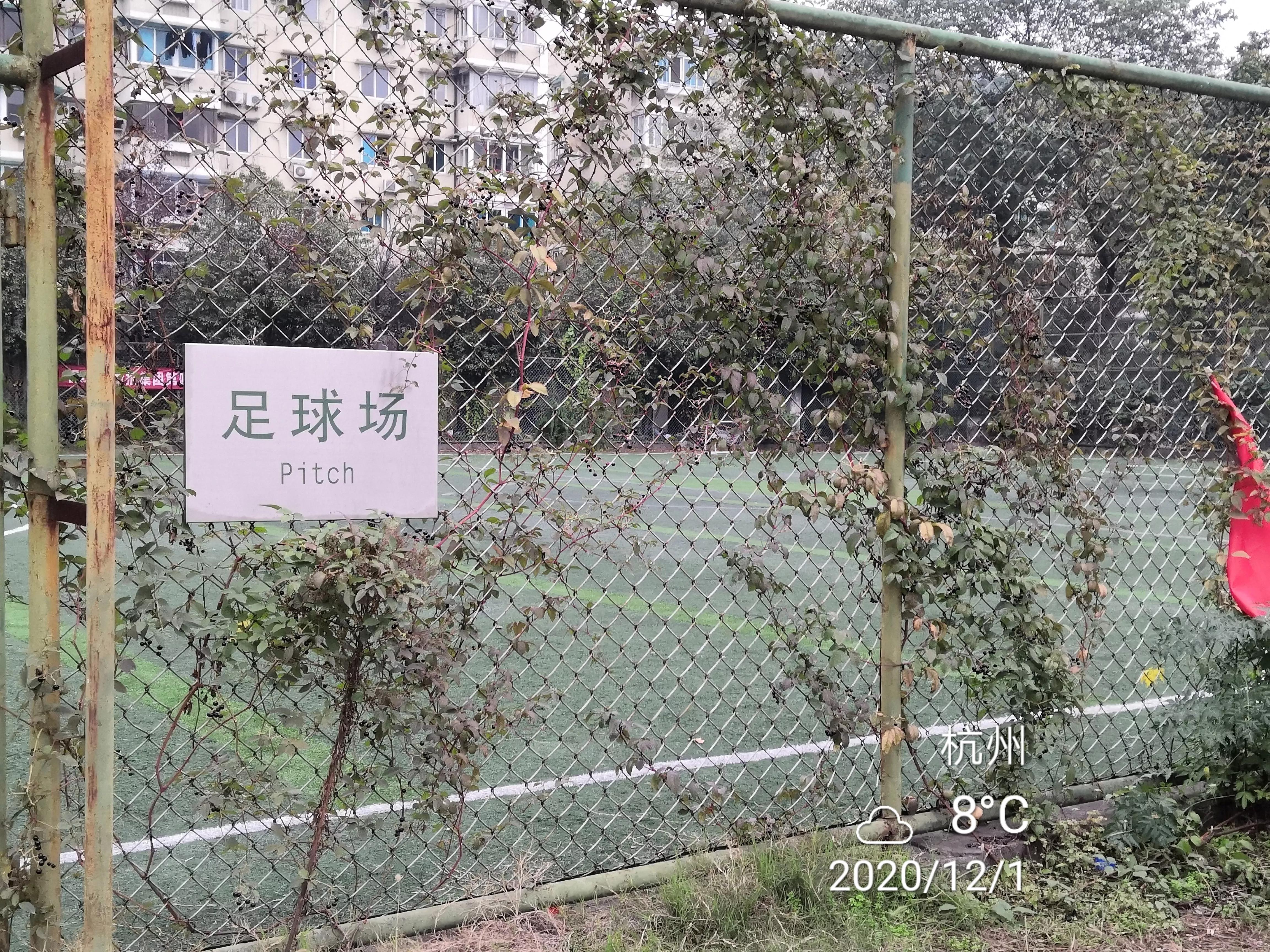 体育场改建最新消息,体育场改造升级焕发新颜