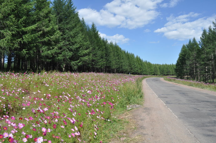 坝上三大景点,坝上草原是丰宁还是围场的