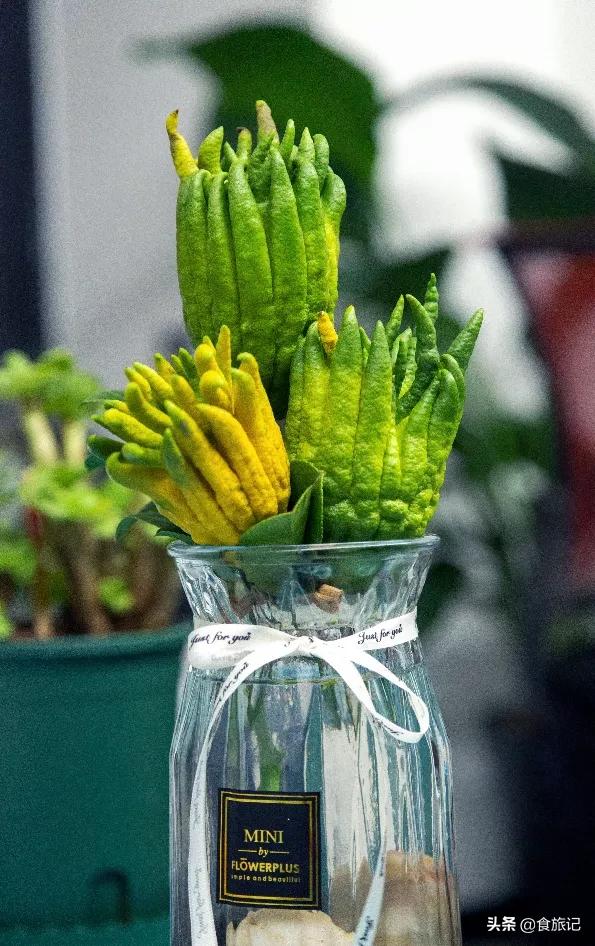 怎样才能吃到好吃又营养的果子呢,像灯笼一样的果子可以吃吗