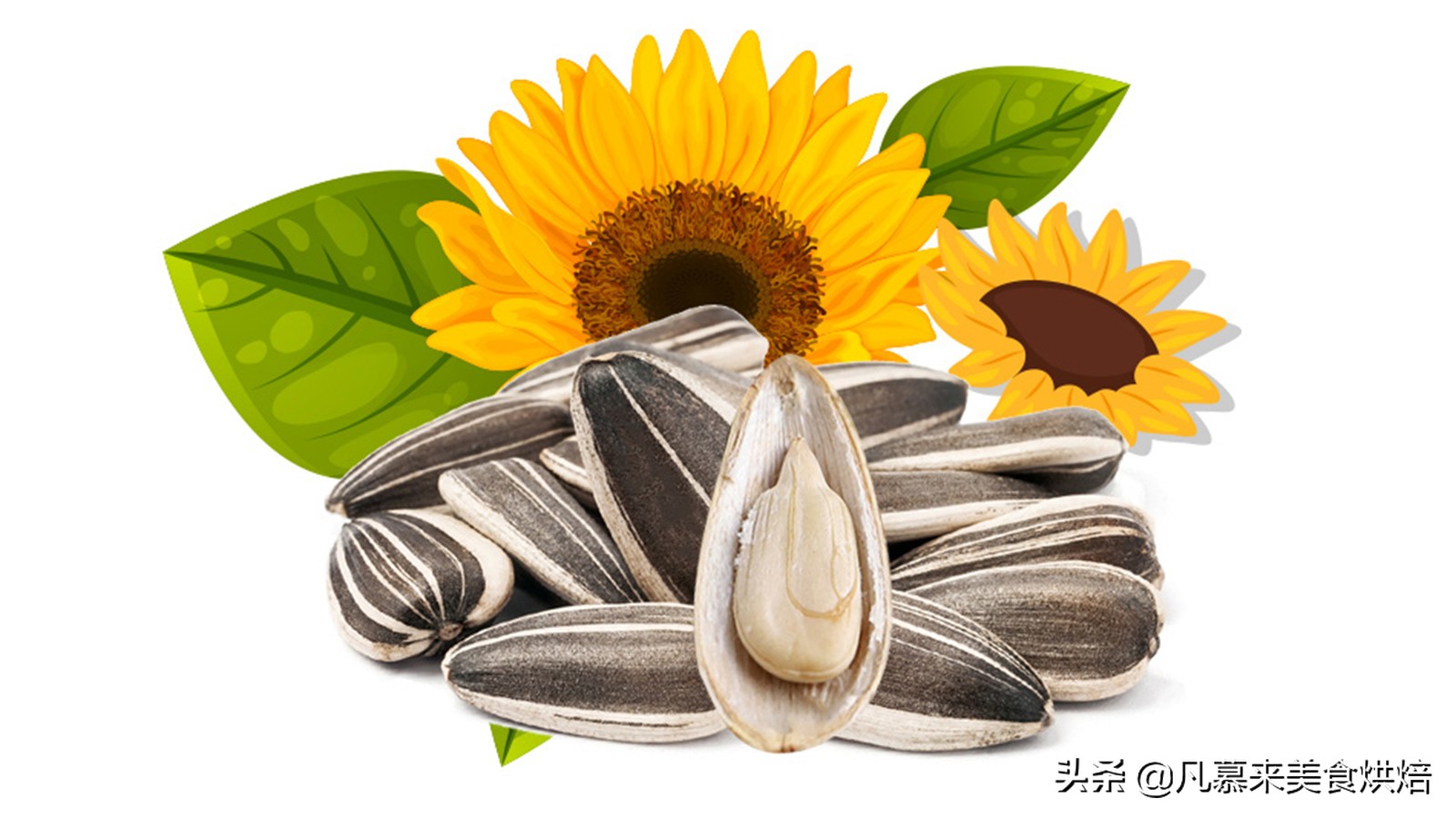 每日坚果八种营养坚果搭配,坚果类大全