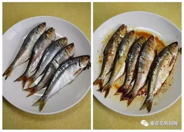 秦皇岛美食排行榜前十名海鲜,秦皇岛最好的海鲜自助餐厅排名榜
