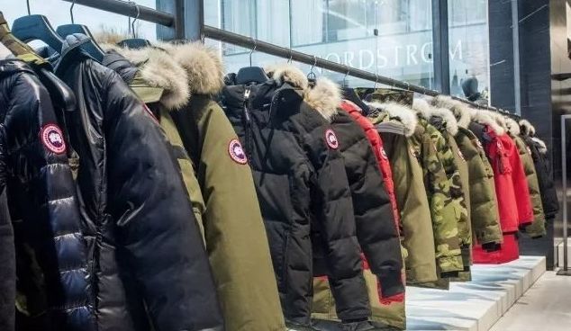 加拿大鹅街头被抢,加拿大鹅10天被抢七次