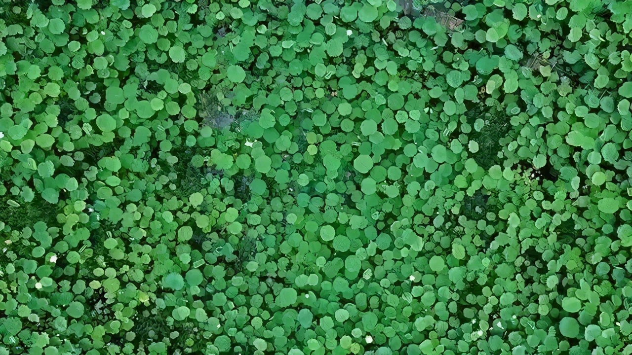 西安出发到云南跟团游推荐,6月西安到云南5天旅游攻略