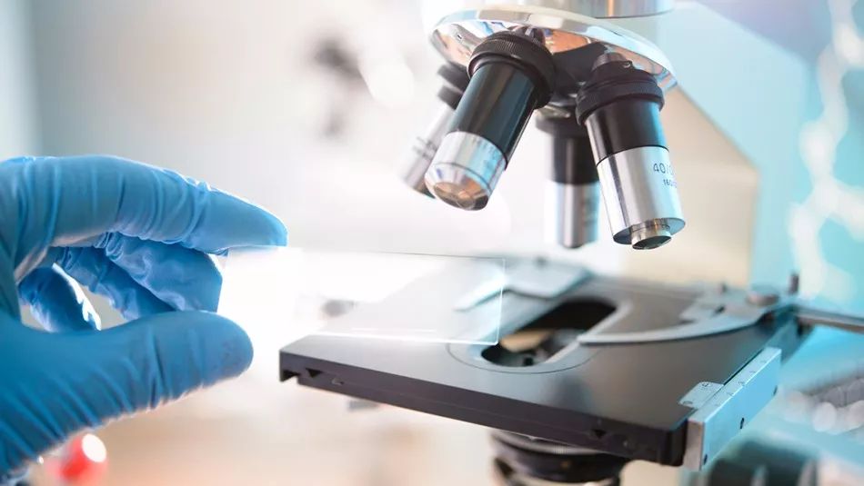 我不是药神外国制药巨头,我不是药神和格列宁