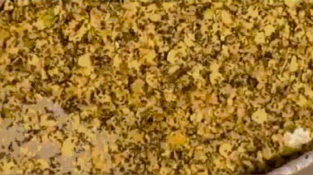 食用油是怎么榨出来的,食用油怎么压榨出来的