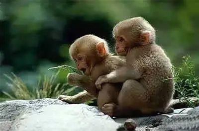 在香港生活必须注意的细节,在香港要注意的事