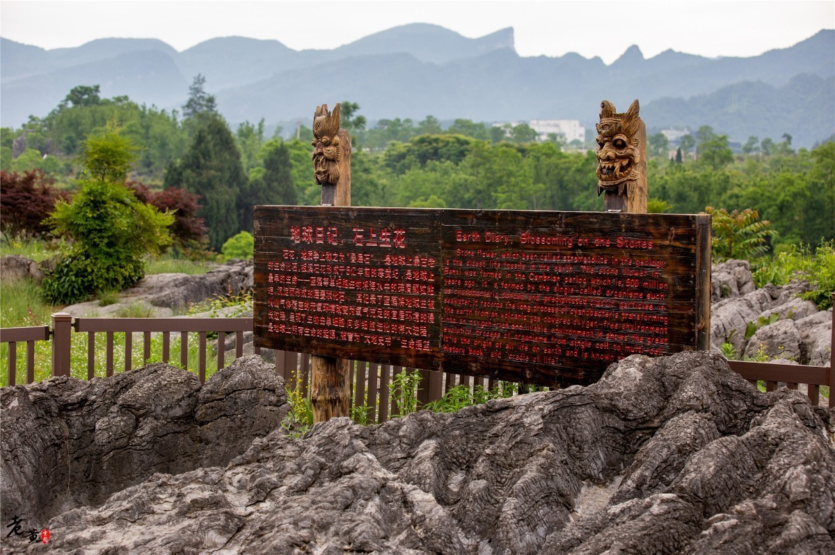 距离重庆主城5小时的边缘小城，鲜花怒放，更有奇妙文化待你赏析