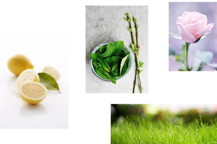 七夕送什么礼物最实在,七夕送什么单品礼物逼格高