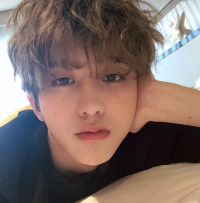 时尚盛典岳岳蔡徐坤,蔡徐坤和小岳岳的综艺节目