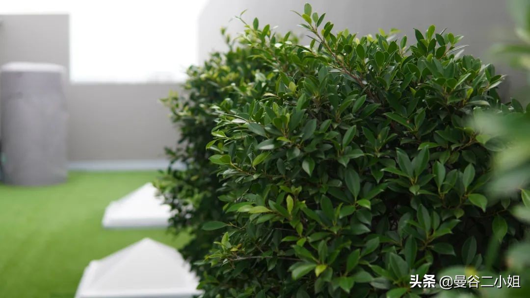 泰国定居别墅真实价格,泰国曼谷顶级富人区2000万别墅