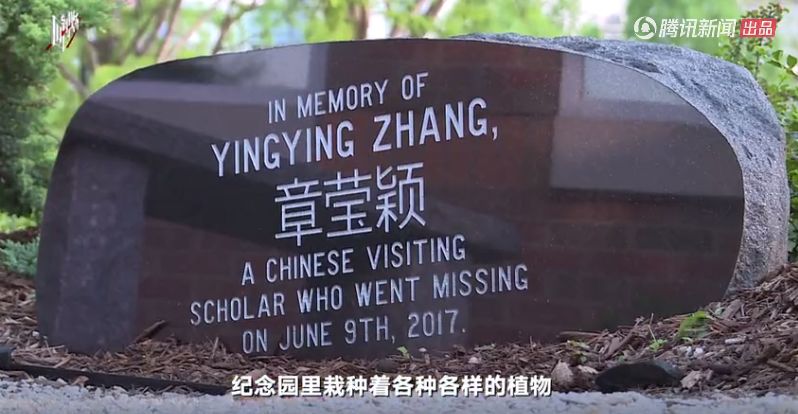 章莹颖遇害案全过程,章莹颖遇害案细节曝光