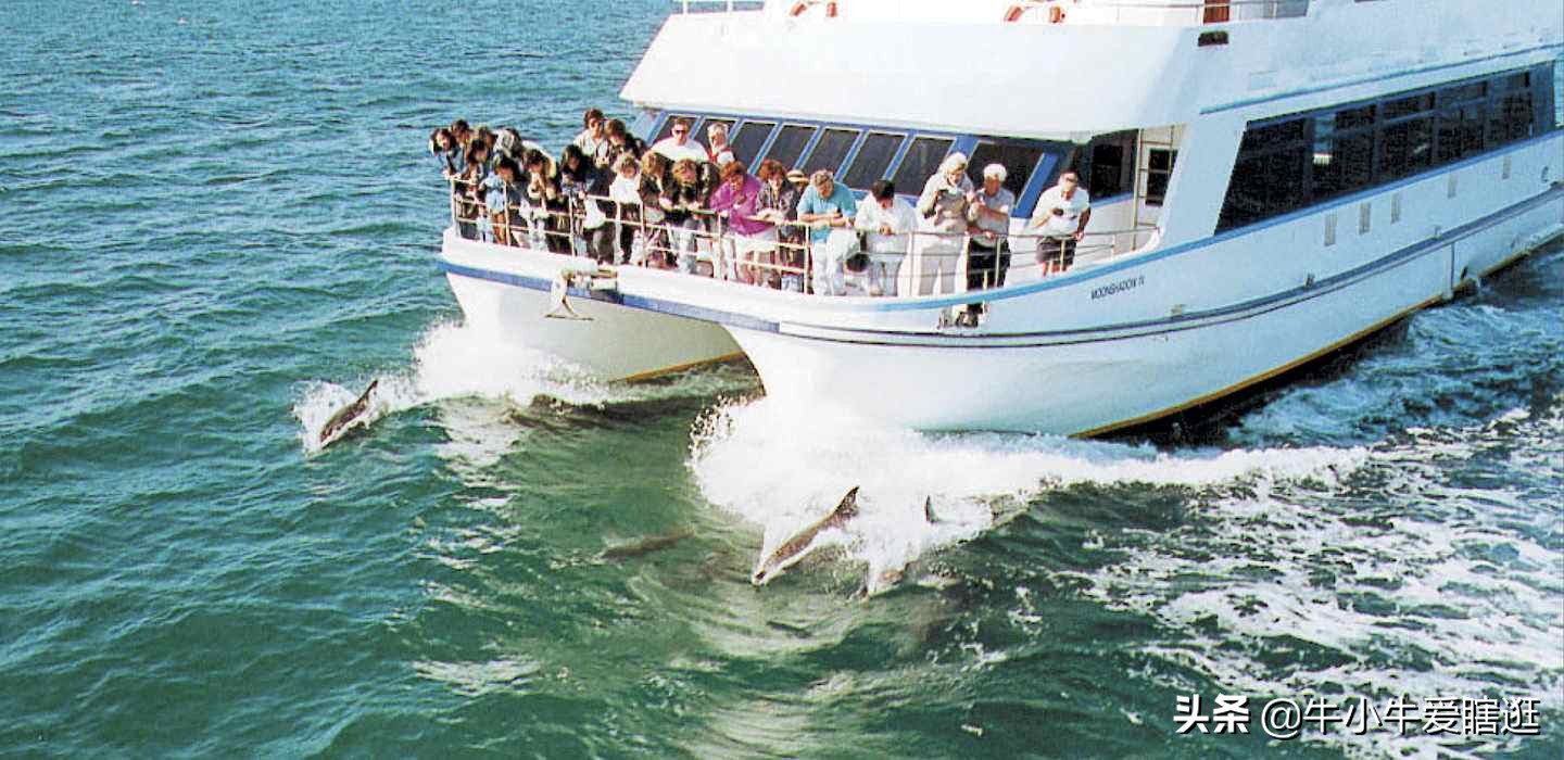 悉尼7日游自由行攻略,澳洲阿德莱德旅游攻略