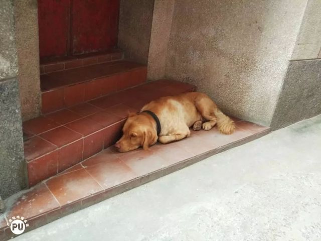 广州古村一日游最佳路线,广州好玩又省钱的6大绝美古村