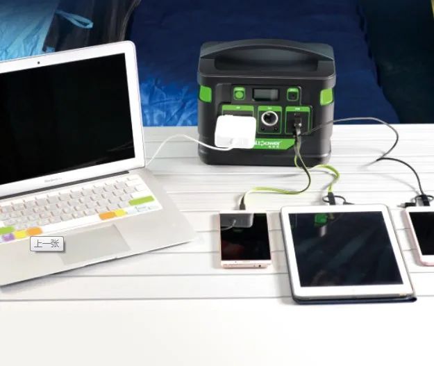 鹰熊汇现场,鹰熊汇最新视频