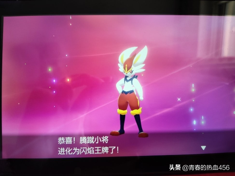 宝可梦火兔的进化型,宝可梦剑盾火兔子