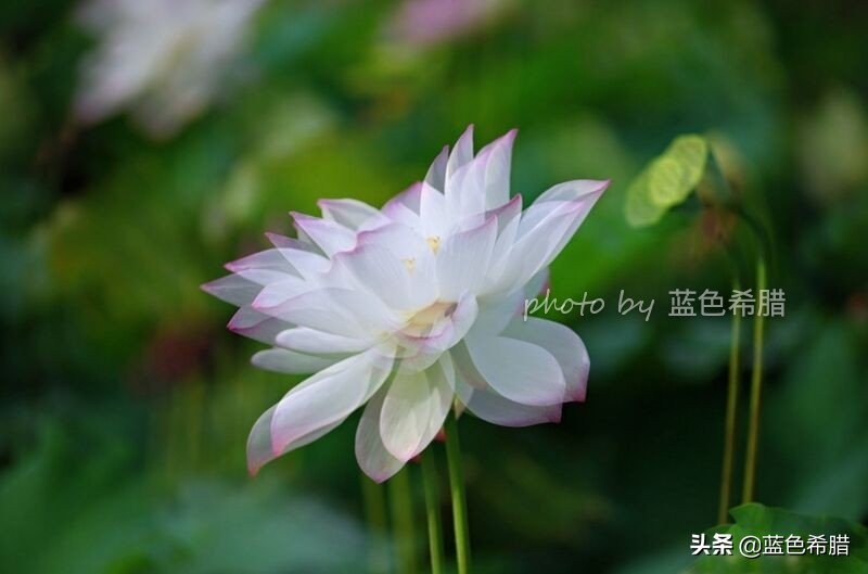 佳能5d370-200人像拍摄参数,佳能5d3拍出的照片带着详细参数