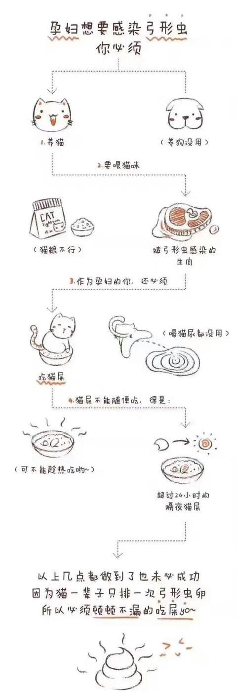 怀孕养宠危害大吗,为什么医生都不建议怀孕后养宠物