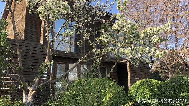 曹妃甸哪个地方属于自贸区,曹妃甸综合保税区自贸区