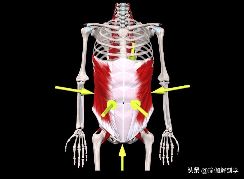 腰椎间盘突出适合练瑜伽哪些动作,腰椎间盘突出做什么瑜伽可以恢复