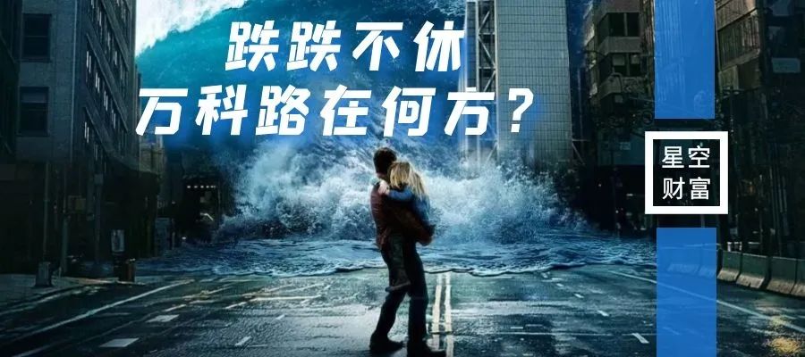 净利下滑30%股价12天却涨停,万科集团2019年销售净利率下降