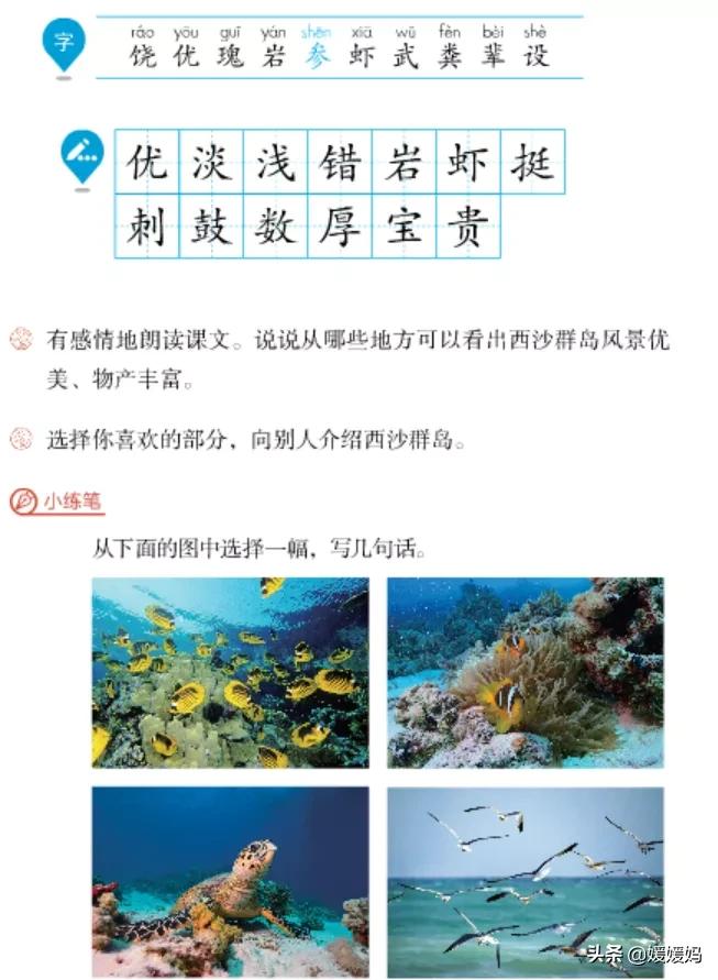 三年级第18课富饶的西沙群岛预习,3年级语文第18课富饶的西沙群岛