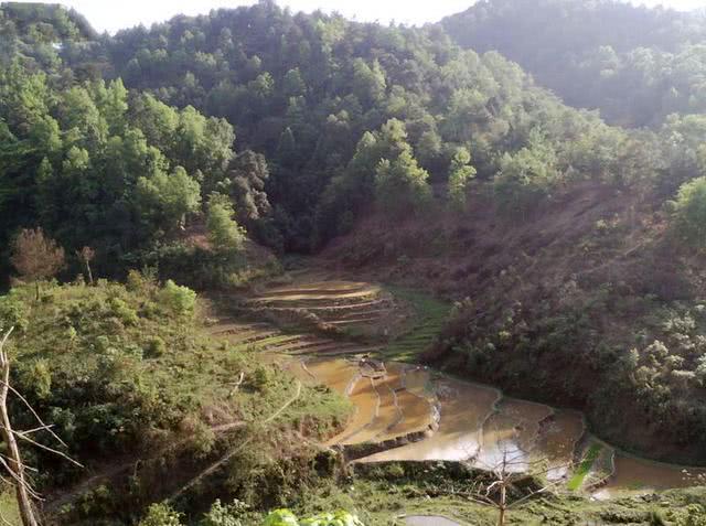 钓黄鳝技巧2.0,钓黄鳝技巧钩子是朝下还是横放