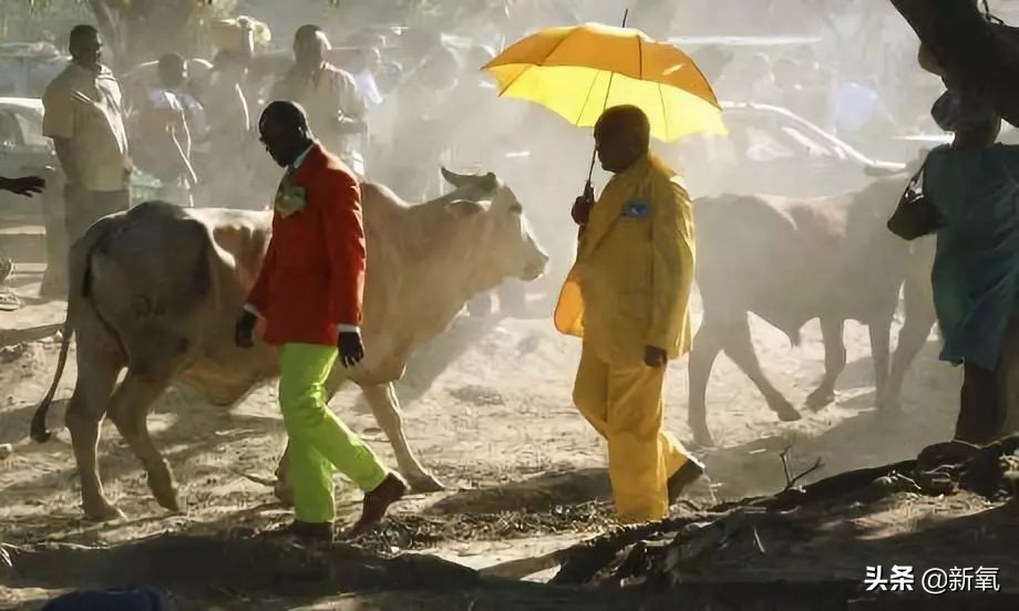捡垃圾也要穿名牌,非洲贫民窟绅士精致起来有多野?