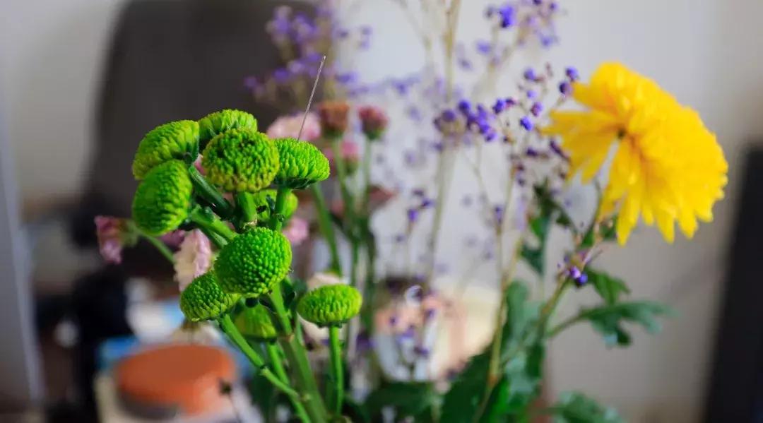 长焦镜头拍摄升起效果,怎么把镜头突然反过来拍自己