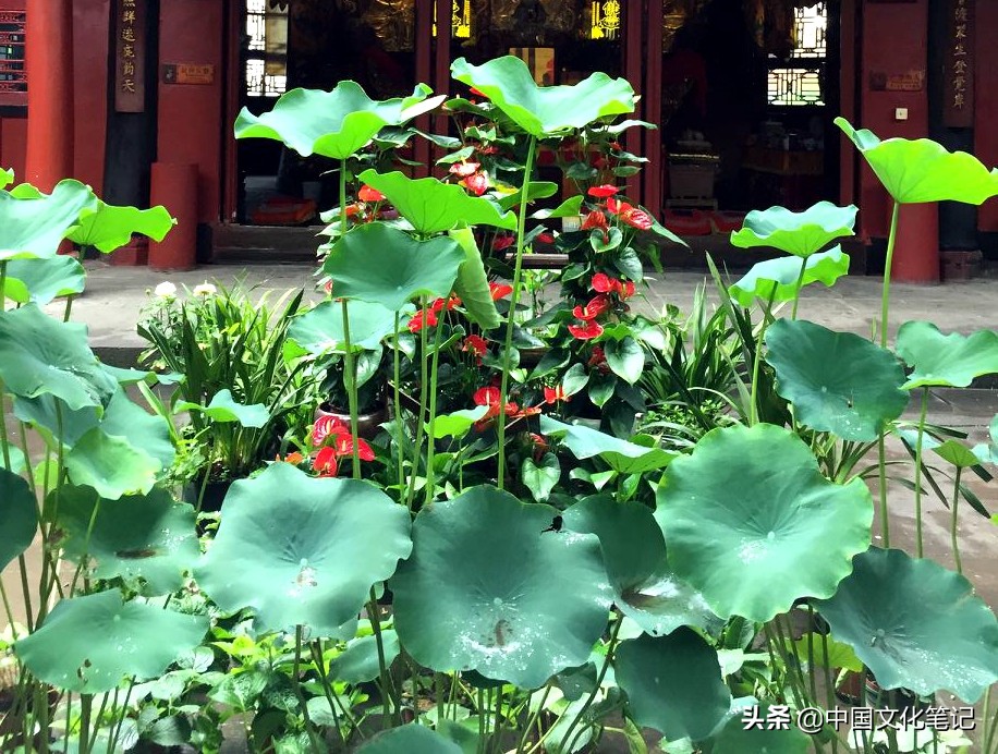 一千年前的皇帝如何消夏：苦中作乐，把酷暑变得诗情画意