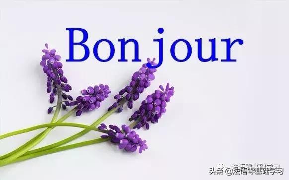 如何学好法语入门,如何快速学习法语零基础入门
