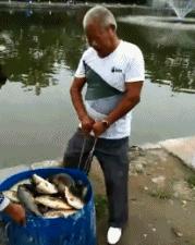 搞笑gif第八期,搞笑gif第三弹