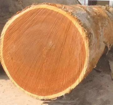 地暖地板木材,地暖地板橡木实木