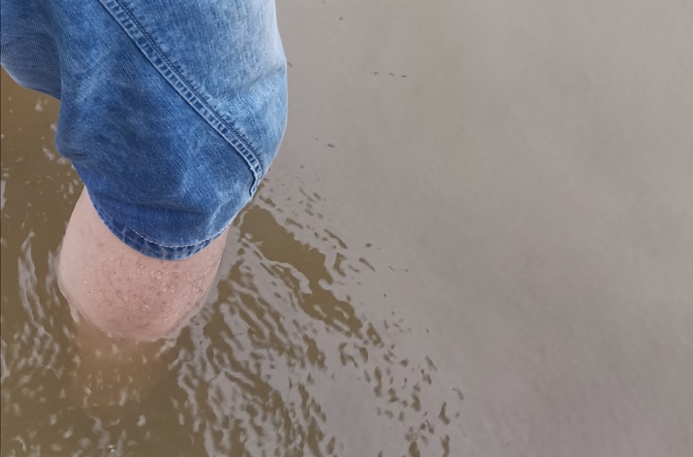 梅子黄时雨前面一句是什么,梅子黄时雨作品祝平安