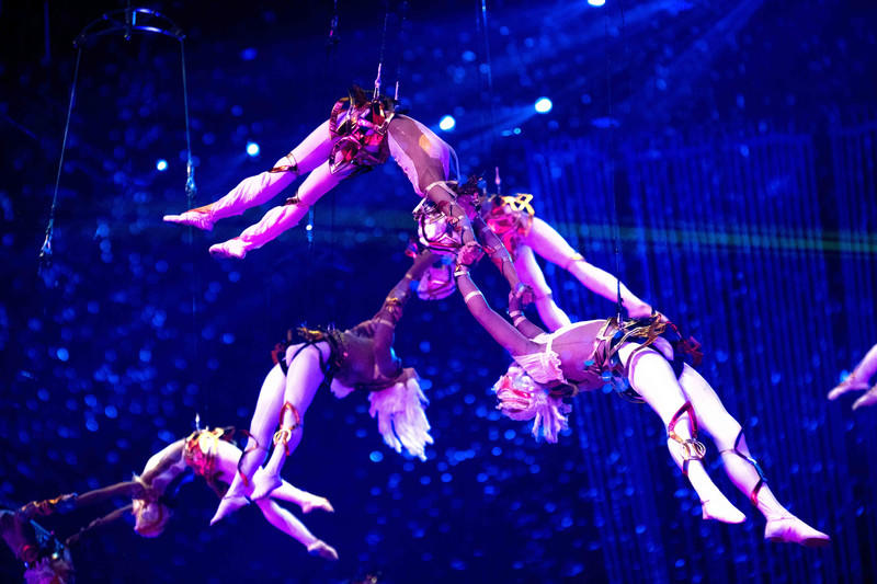 玩转广州长隆野生动物世界之行,广州长隆动物世界游玩攻略图